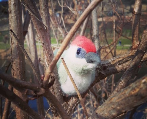 Jellycats – "Birdling Woodpecker"